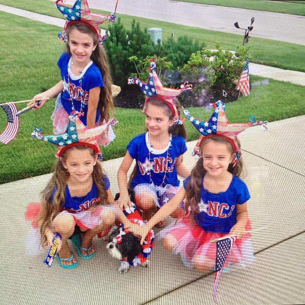 CHASING FIREFLIES PATRIOTIC TUTU, TIARA, T… - Picture 2 of 5